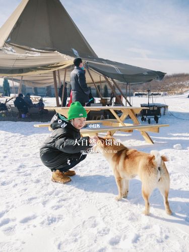 这个冬天真什么作文（《这个冬天真好玩——探访北极雪地世界》）