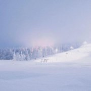 有关那个下雪的冬天的作文600字（《一个人在深夜的雪地里，寻找自己的故事》）