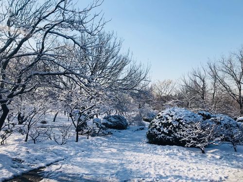 在冬天里玩耍的作文（《在雪中畅玩，感受冬日的美好》）