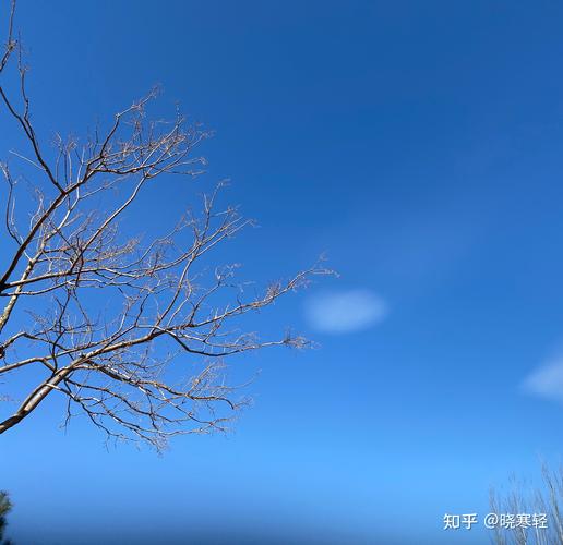 写冬天无雪的作文（《不一样的冬季生活》）