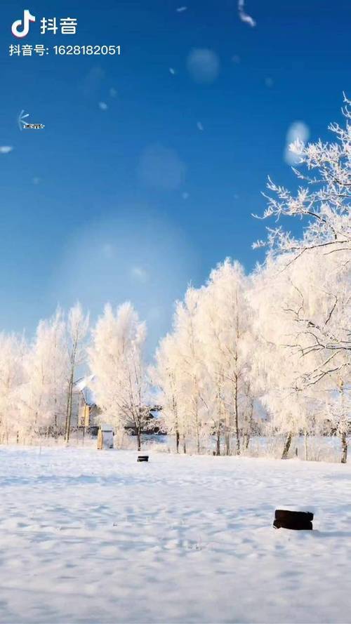 冬天里的一场雪的作文（《冬日雪情：一场冬雪带来的欢乐》）