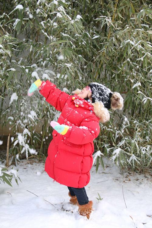 这个冬天的第一场雪作文（《初雪中的邂逅》）