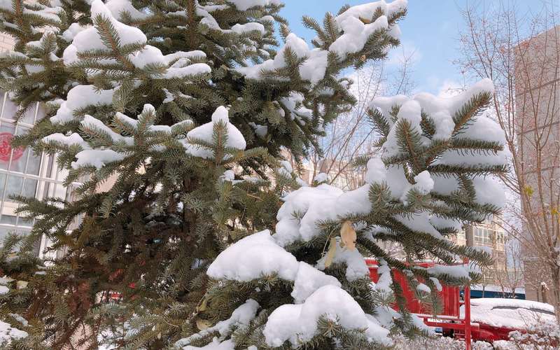 有关冬天的第一场雪的作文400字（《我和雪一起玩》）