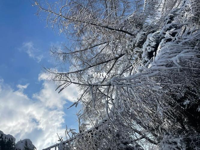 以冬天第一场大雪为话题的作文怎么写（《第一场大雪》）