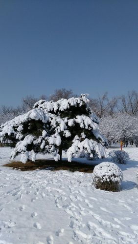 以冬天第一场大雪为话题的作文怎么写（《第一场大雪》）