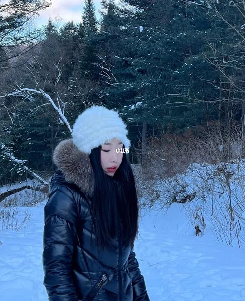 有关我爱北国的冬天的作文怎么写（《雪中漫步，一场北国冬日之旅》）