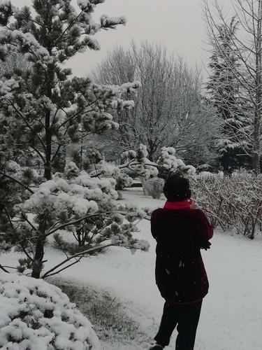 有关我爱北国的冬天的作文怎么写（《雪中漫步，一场北国冬日之旅》）