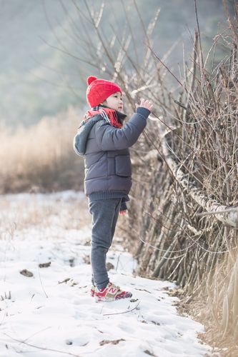 我爱北方的秋天作文（《红色的火炉，白色的雪地，瑰丽的冰雕》）