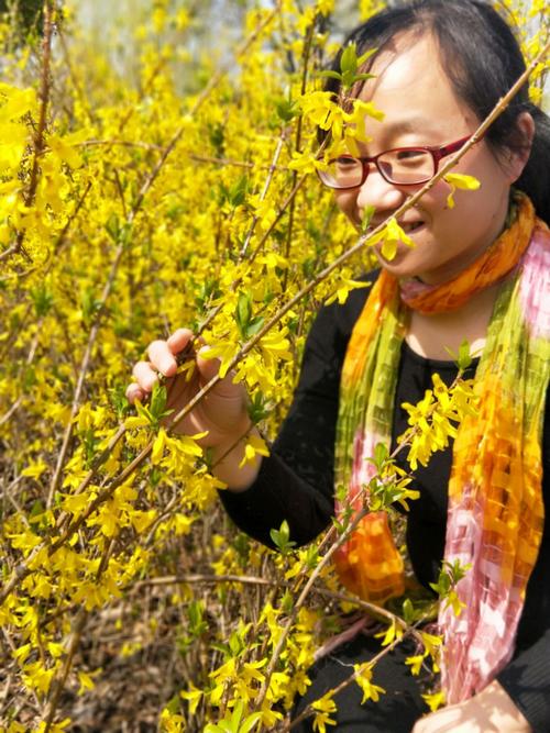 春天的芬芳作文（《花香四溢的春天》）