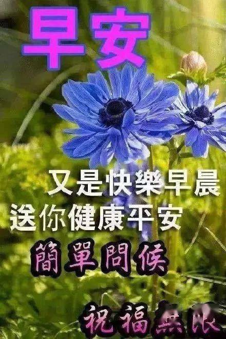 经典的早安问候语大全（温馨的问候，开启美好一天）