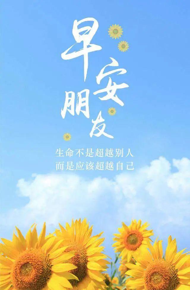 适合早上发朋友圈的好句子（25句唯美短句，祝福美好一天）