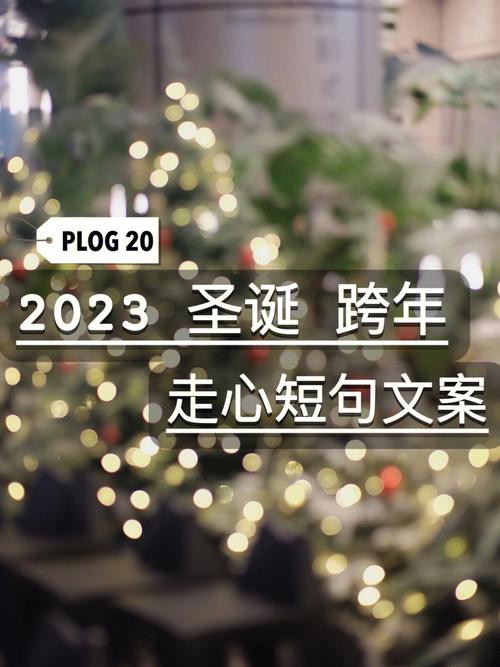 有关2023跨年朋友圈好句的句子有哪些（用美丽的句子迎接美好的2023）