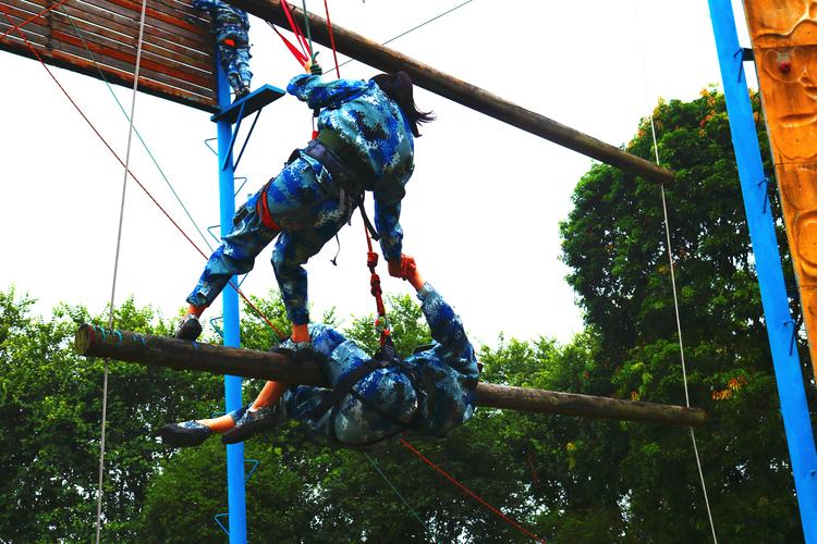 以梦想带领我前行为话题的作文800字（《梦想之路：以梦想带领我前行》）