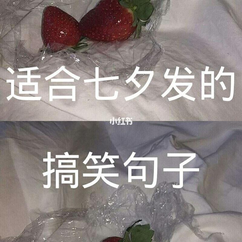 202年的说说（浪漫七夕，暖心表白）