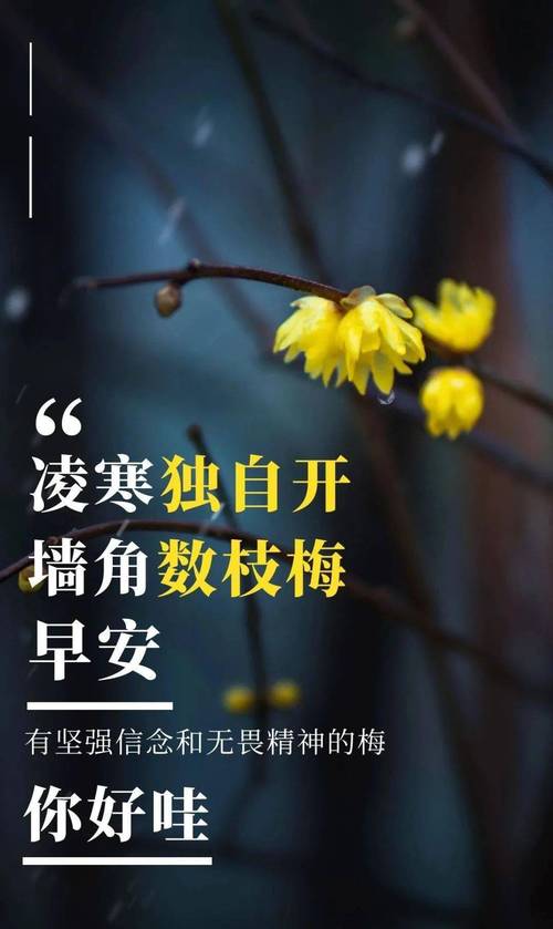 有关生活励志的句子的短句英语（坚持生活，无畏前行）