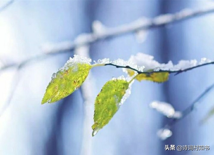 花雪随风不厌看，一片飞来一片寒（经典小雪节气古诗词12首）