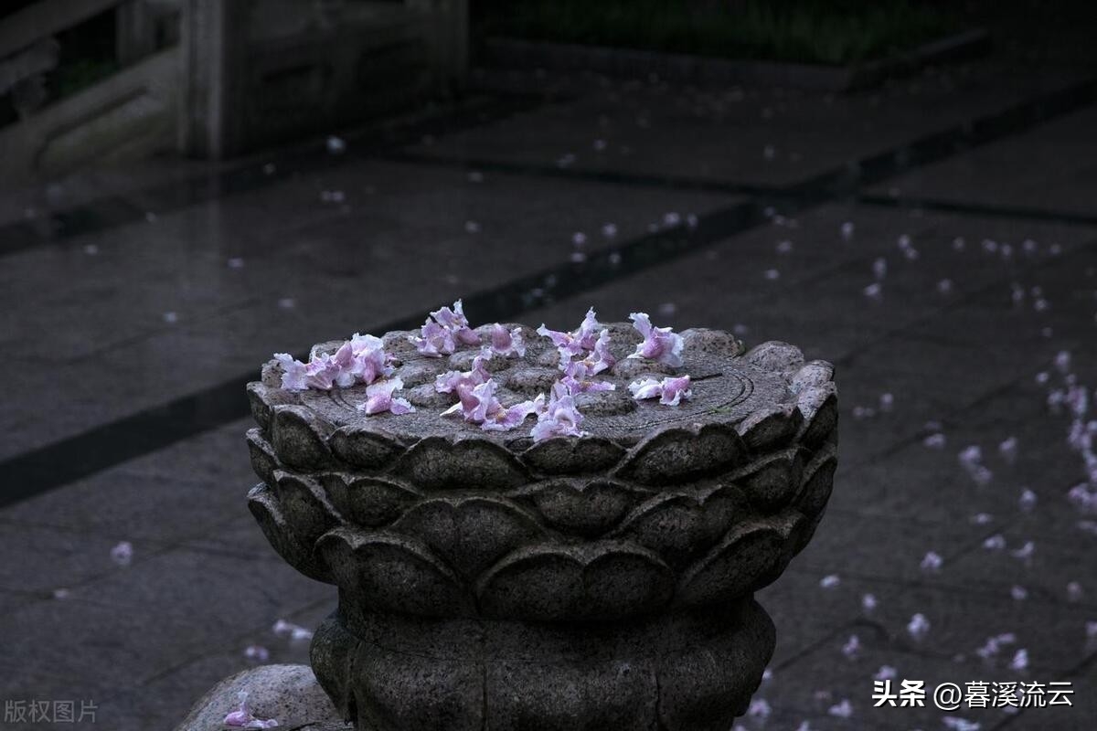 乱红如雨，如梦如仙（八首唯美的落花诗词）