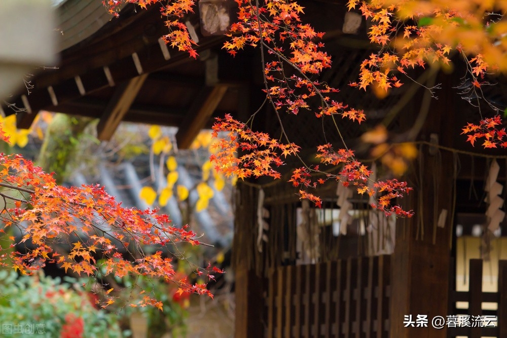 忽有故人心上过，回首山河已是秋（精选30首绝美深秋诗词）