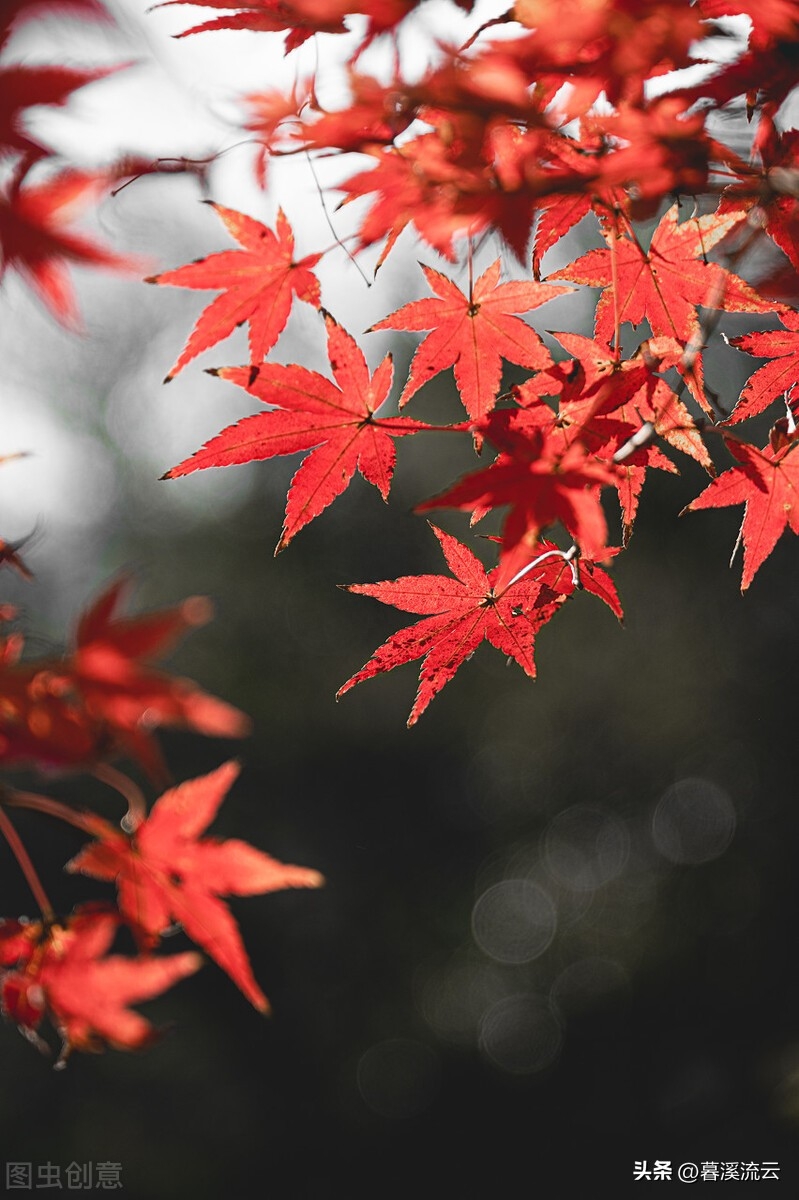 忽有故人心上过，回首山河已是秋（精选30首绝美深秋诗词）