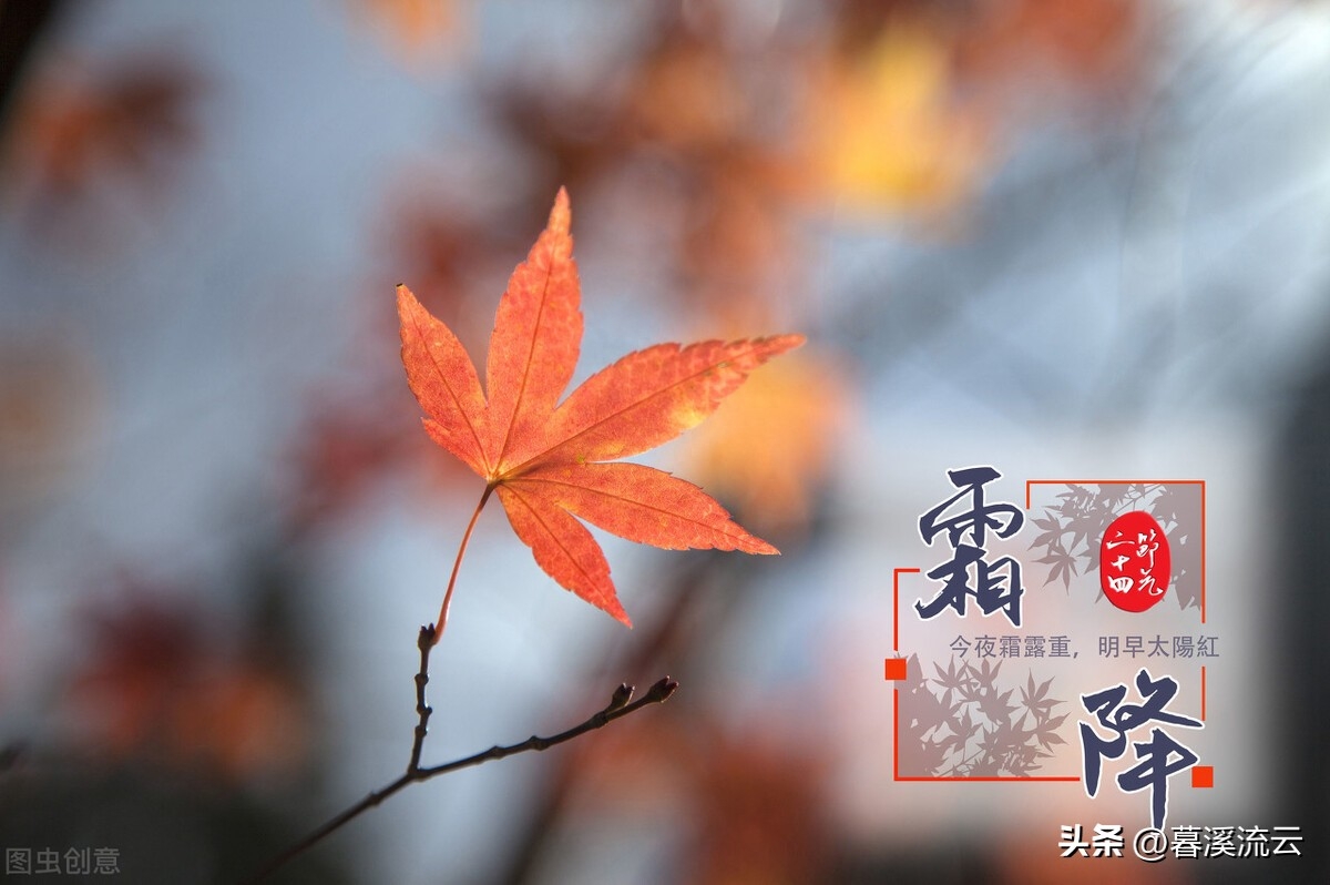 露深花气冷，一夜霜寒木叶秋（推荐十首清寒霜降诗词）