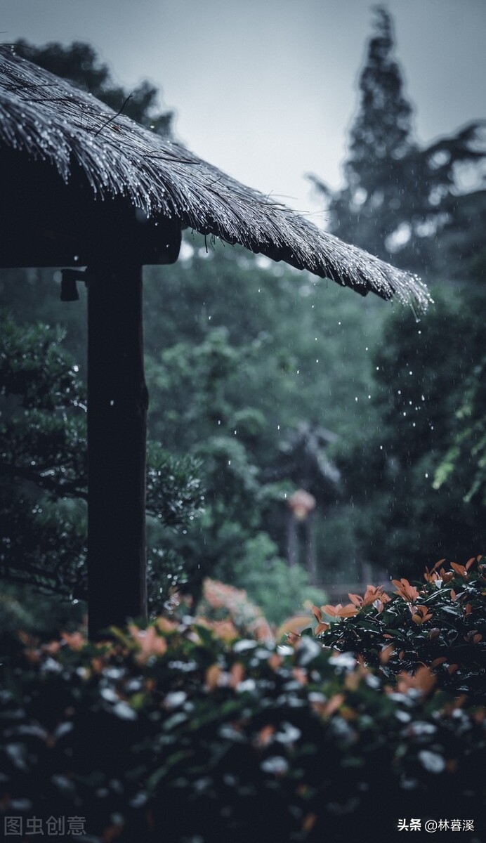 关于听雨声的好诗句（分享八首听雨诗词）