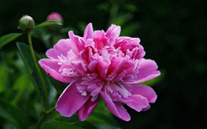 谷雨深春近，茶烟永日香（谷雨时节的经典诗词）