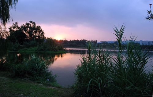 关于夏天的美景作文（《大自然的美景》）