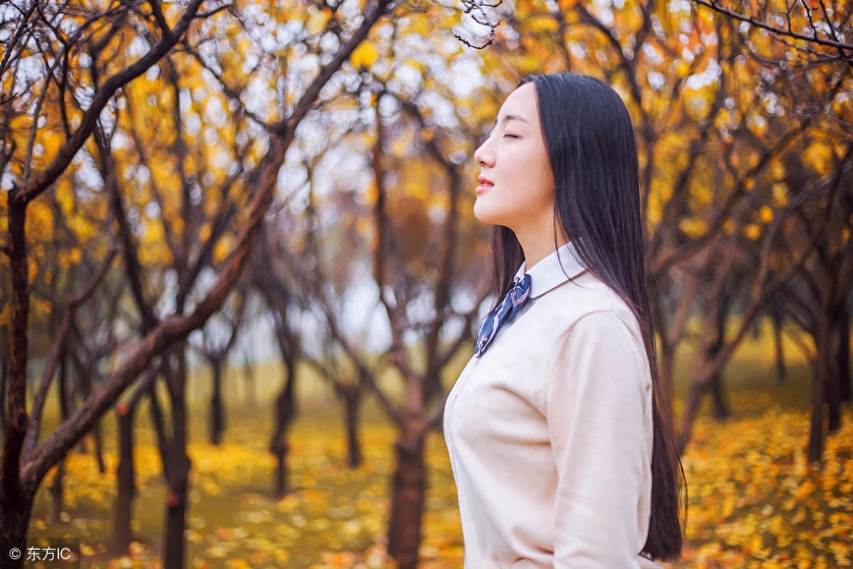 似烧非因火，如花不待春（精选11首古诗词中的红叶）