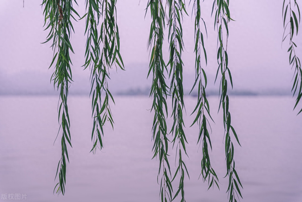 逍遥江湖，寄情山水（分享七首泛舟的诗词）