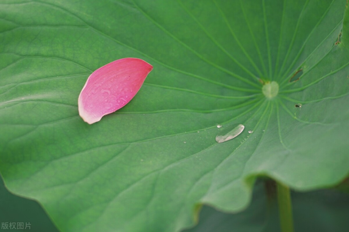 关于风景的唯美古诗（虽不能至，心向往之）