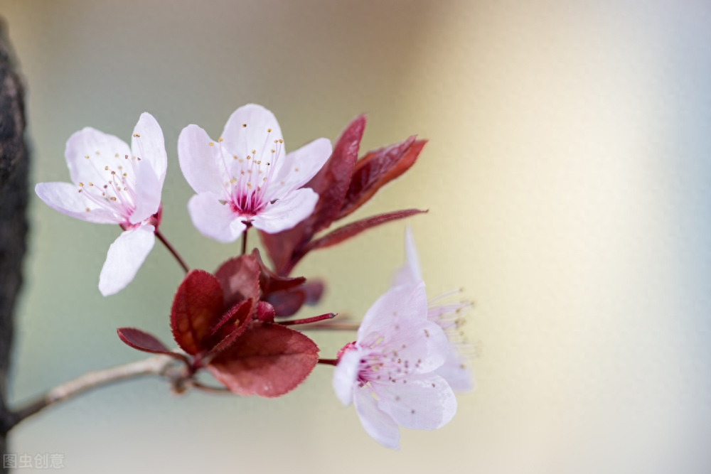 消解焦虑，平心安神（分享七首平淡有真味的诗词）