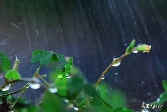 静心听雨的经典诗词（五首听雨诗词）