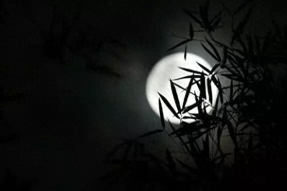 秋夜古诗词鉴赏（十首唯美秋夜诗词）