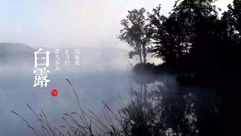 露沾蔬草白，天气转青高（咏白露古诗赏析）