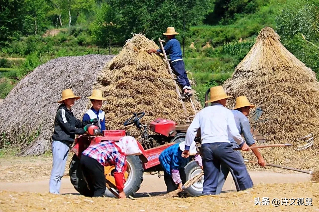 立秋唯美诗词大全（分享十首立秋古诗）