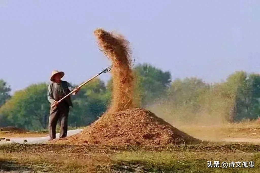 立秋唯美诗词大全（分享十首立秋古诗）