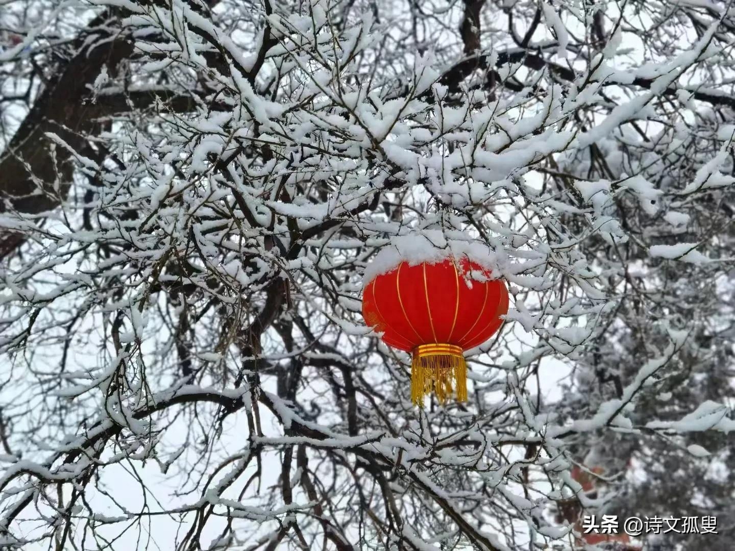 相思唯美爱情诗句（十首写相思的古诗）