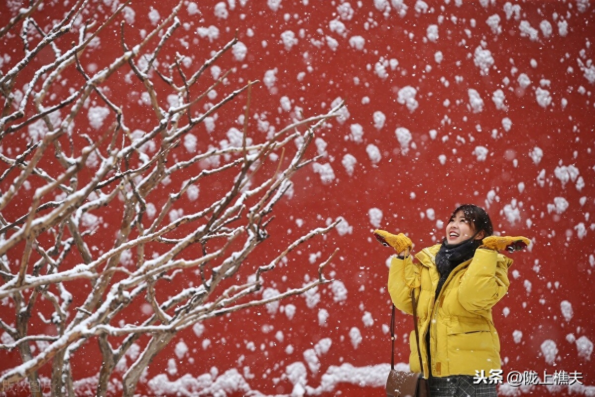 描写雪景的诗句古诗（落雪倾城的诗句）