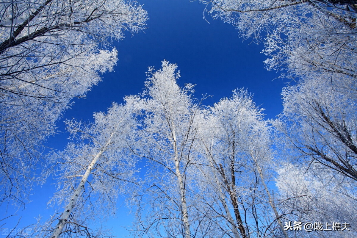 描写雪景的诗句古诗（落雪倾城的诗句）