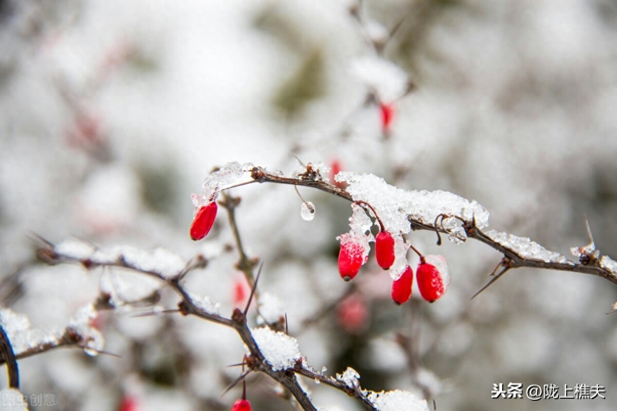 描写雪景的诗句古诗（落雪倾城的诗句）