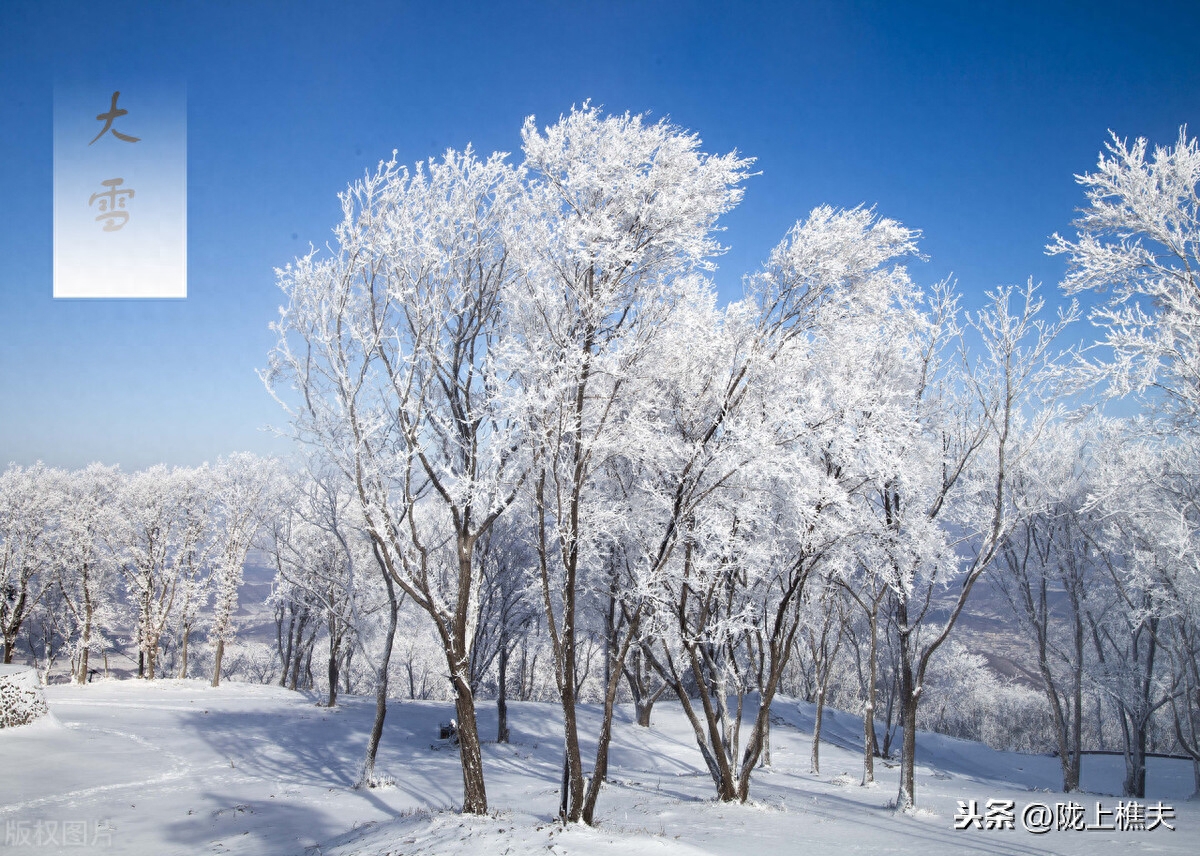 描写雪景的诗句古诗（落雪倾城的诗句）