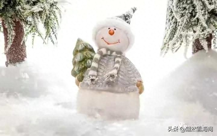 雪花经典诗词大全（25句有美雪花诗词句）