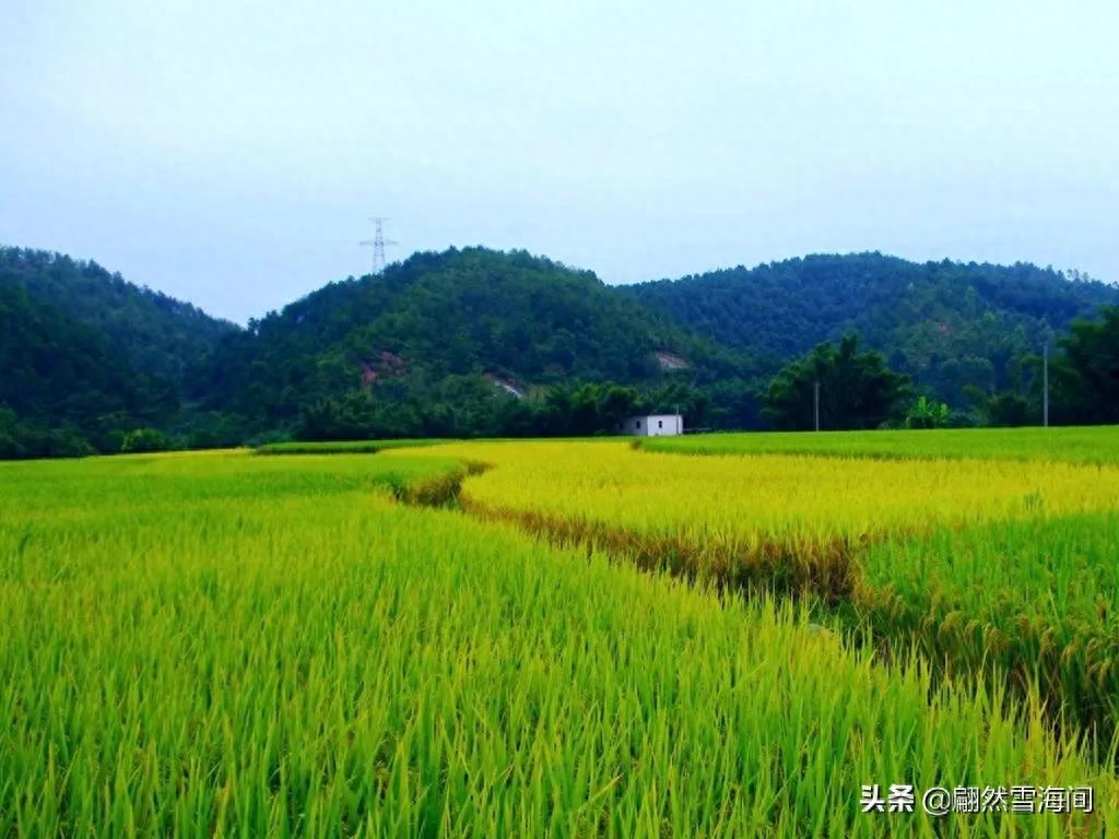 乡间小路，花香怡人（10首唯美山水田园诗）