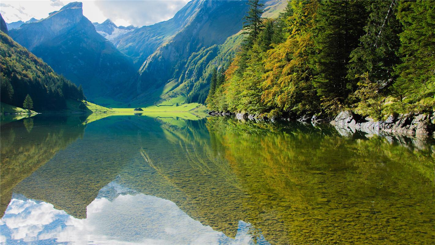 发现春天的写景作文（《春天的风景》）