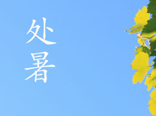 处暑的句子短句唯美（燃情夏日，处暑祝福）