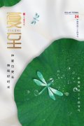 有关关于夏至节气的谚语的好句子有哪些（夏至谚语）