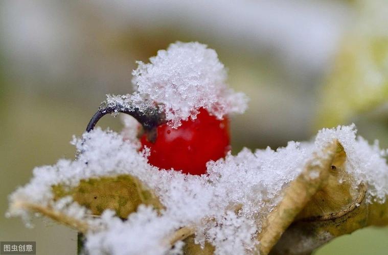 关于下雪的唯美短句（红尘洒落雪花中）