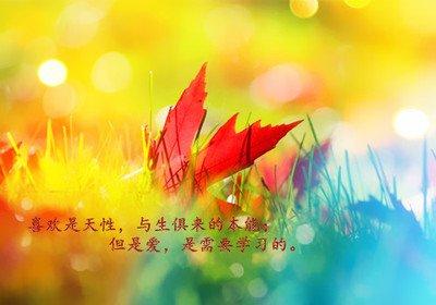 给不了你幸福的句子（给不了幸福的无奈）