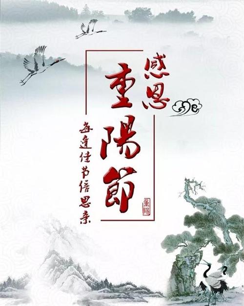 重阳节优美句子简短发朋友圈（祝福送真情，纪念节日佳节）