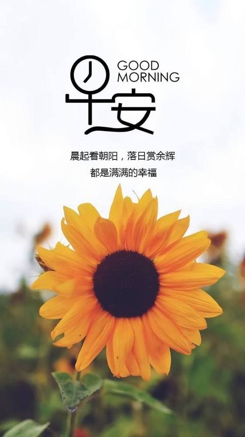 有关放暑假好句朋友圈说说的短句子（夏日清风，放飞心情）